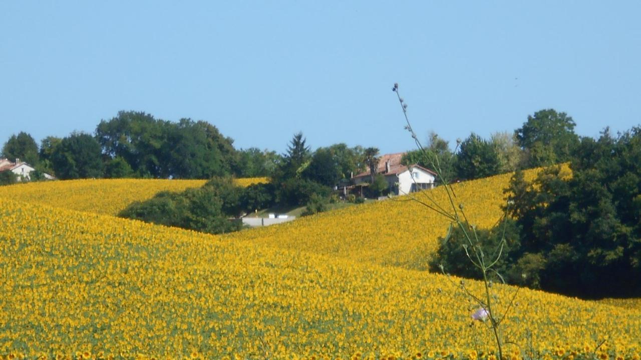 הוילה Nanteuil-Auriac-de-Bourzac La Tranquillite, Le Repos מראה חיצוני תמונה
